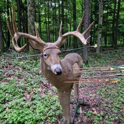 Wir hatten unseren Spaß und auch einige Biere