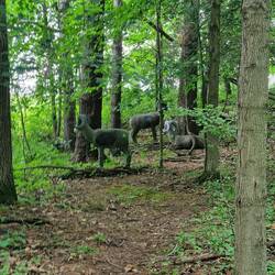 3D-Targets auf dem 1. Pfad