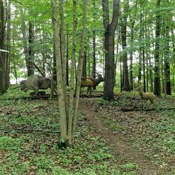 3D-Targets auf dem 1. Pfad