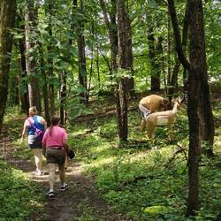 Manchmal finde ich meine Pfeile hinter dem Ziel.
