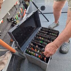 Fische können erstaunlich wählerisch sein