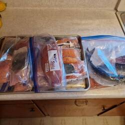 10 Mahlzeiten für 2 Personen und ganz rechts eine für drei (unser heutiges Abendessen)