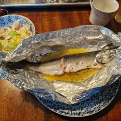 Frischer geht es kaum