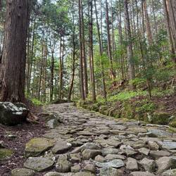 Cobblestone paths 😍