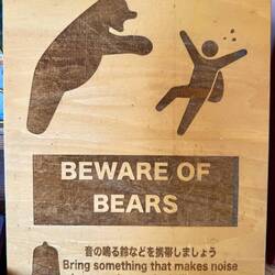 🐻