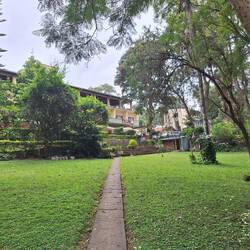 Hotel's garden