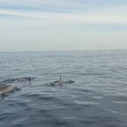 Credits: Emilia J. 👏👏