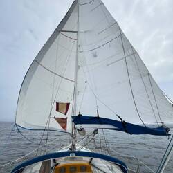 Voiles en ciseaux (parce que vent arrière)