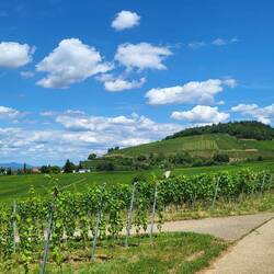 Castellberg bei Ballrechten-Dottingen