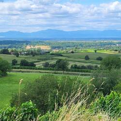 Blick in die Rheinebene und die Vogesen
