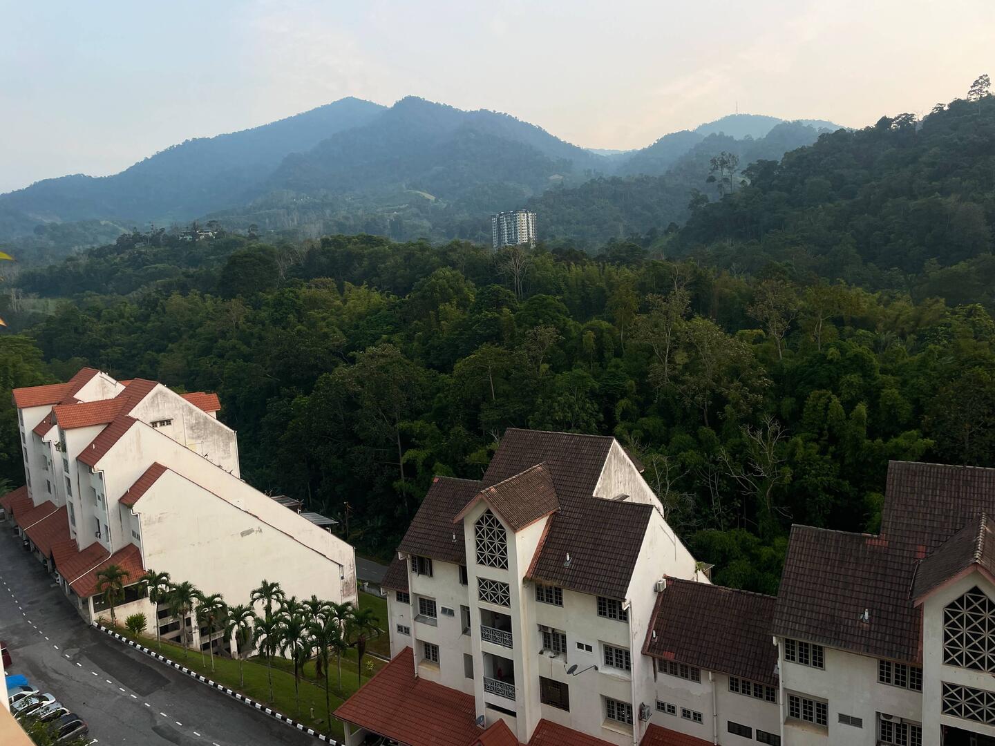 Morning view
