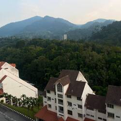 Morning view