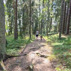 Weg zum Strand