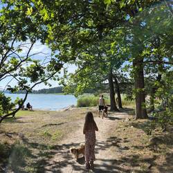 Weg zum Strand