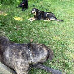 Cliffs Begleiter bei der Wanderung mit 32 Grad