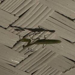 so happy this guy was outside