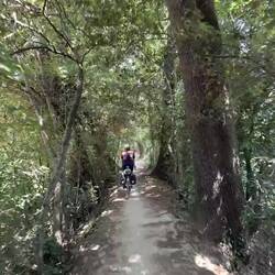 Durch einen hübschen kleinen Waldweg.