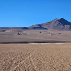 Salvador - Dali - Wüste