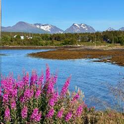 Unser Übernachtungsplatz am Fjord