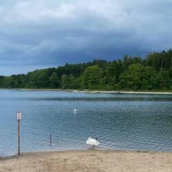 Dreetzsee