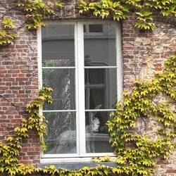 Who is looking out at me?