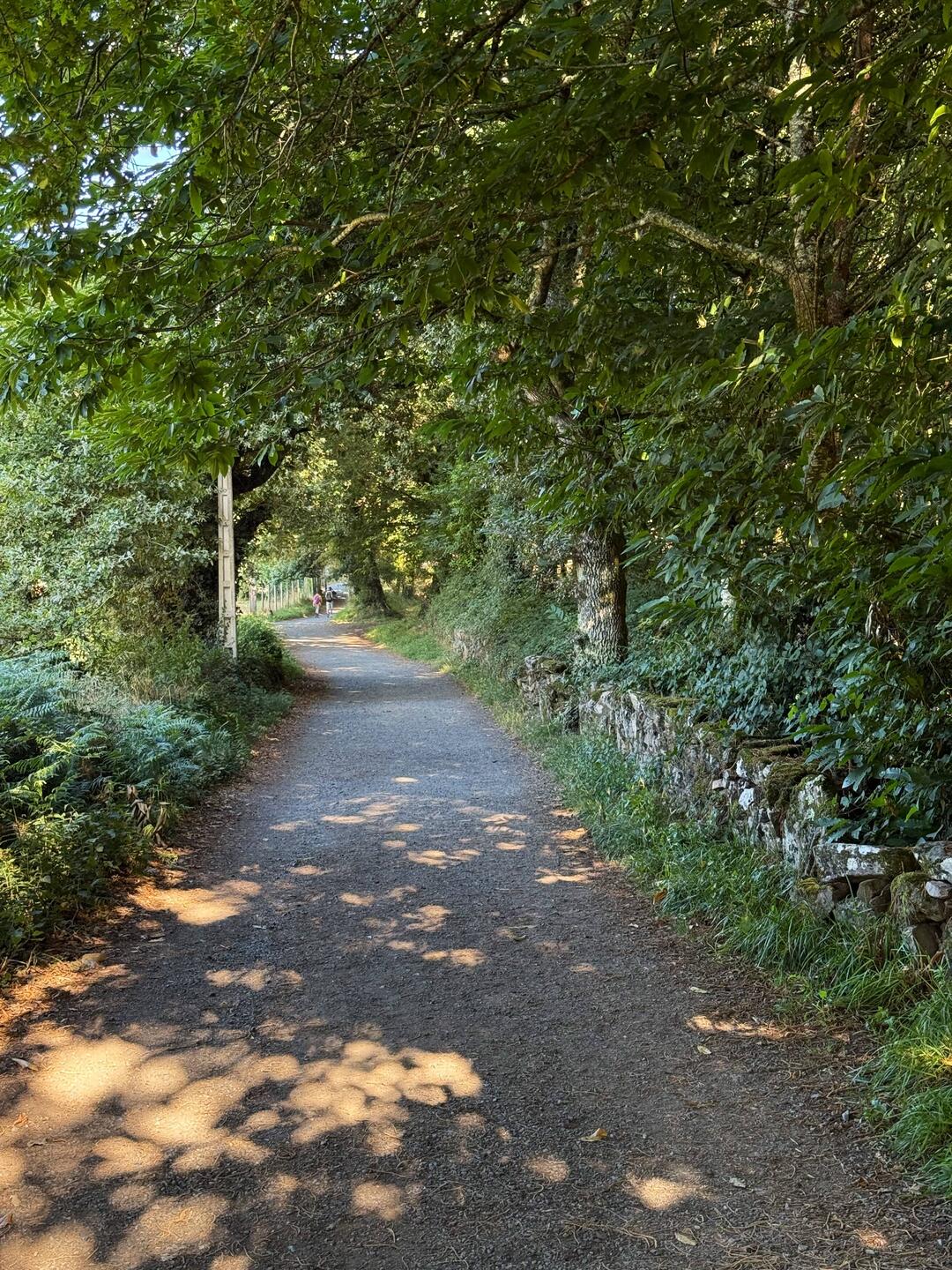 Walking down these tree-lined lanes continues to be enthralling.