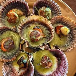 Zamburiñas, scallops in olive oil. Delicious!