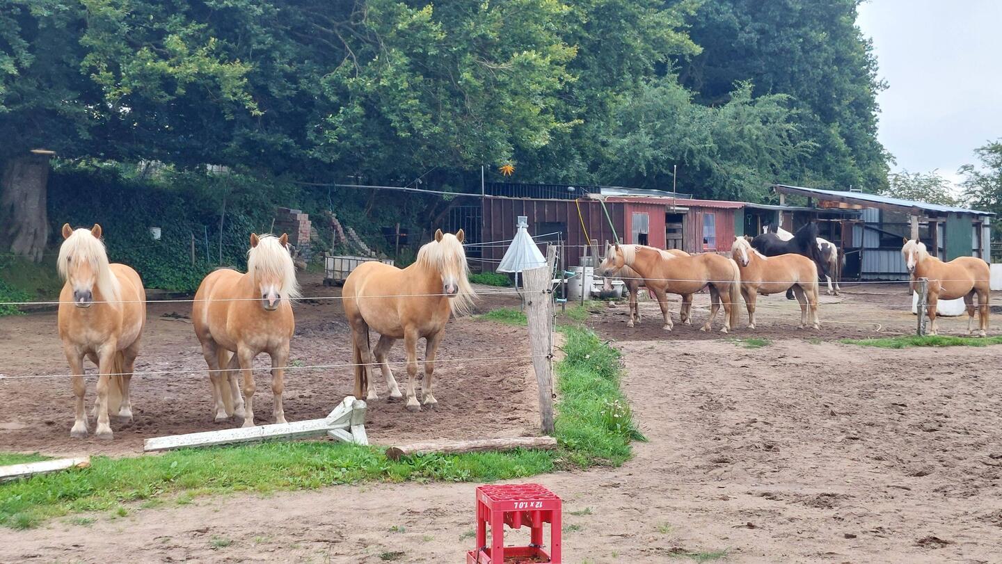 Guten Morgen 👍