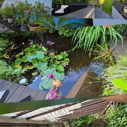 Garten zur Unterkunft