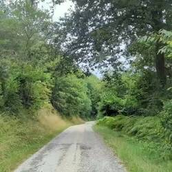 Ab in den Wald