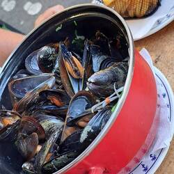 Moules marinieres. Deutlich größer als am Atlantik