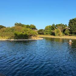 Little Mews Park behind our sweet Airbnb