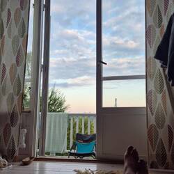 Guten Morgen