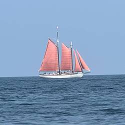 I believe this tall sailing ship gives passenger rides out of Sister Bay