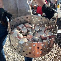The Whitefish that gets put in the pot of boiling water