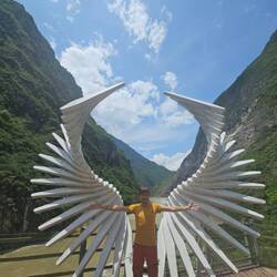 I believe, I can fly?