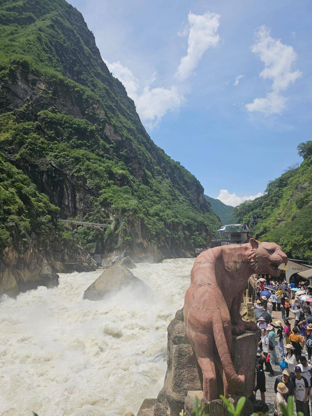 Le tigre aurait sauté sur le rocher au milieu des gorges pour se rendre sur l'autre rive