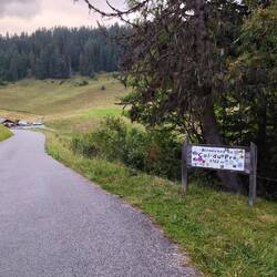 Abendspaziergang zur Bergwertung zum aufwärmen🥶