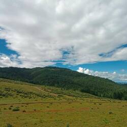 Et comme toujours, dès qu'on s'éloigne de l'entrée des sites, il n'y a plus personne