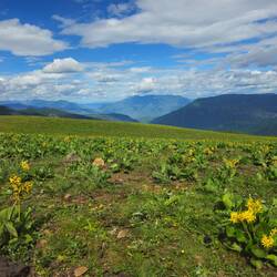 Le ciel est tres bas avec de lourds nuages