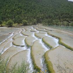 Ou en terrasses comme celles-ci