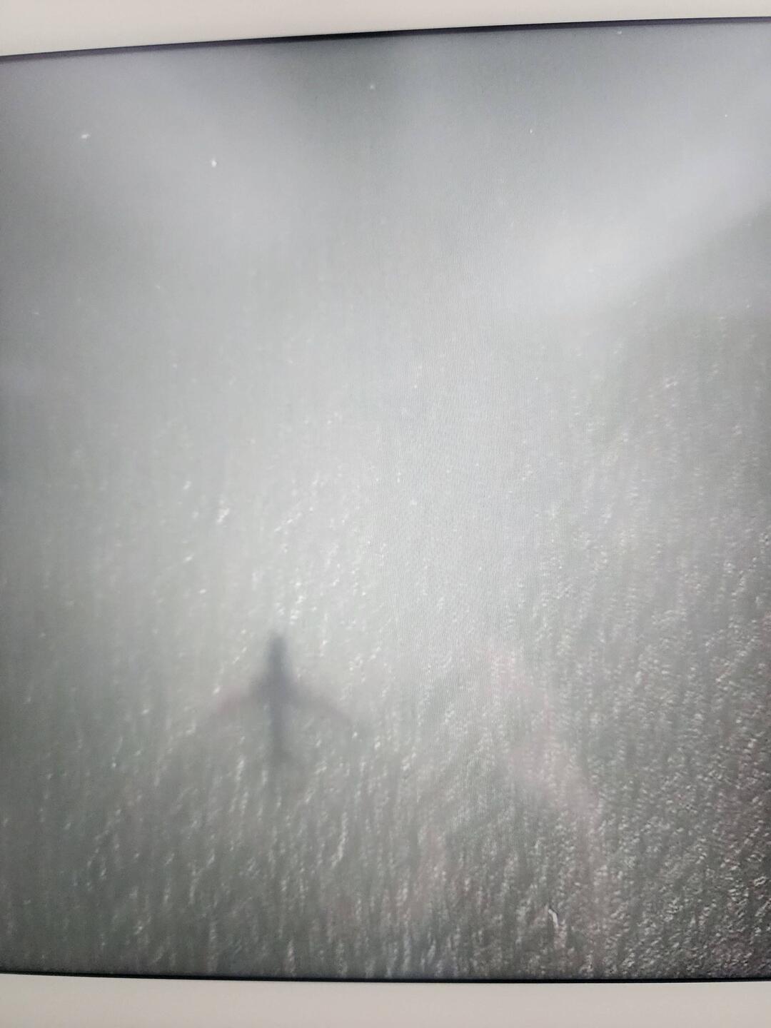 The show of our plane on the water