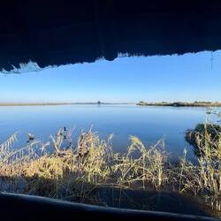 Mighty Zambezi