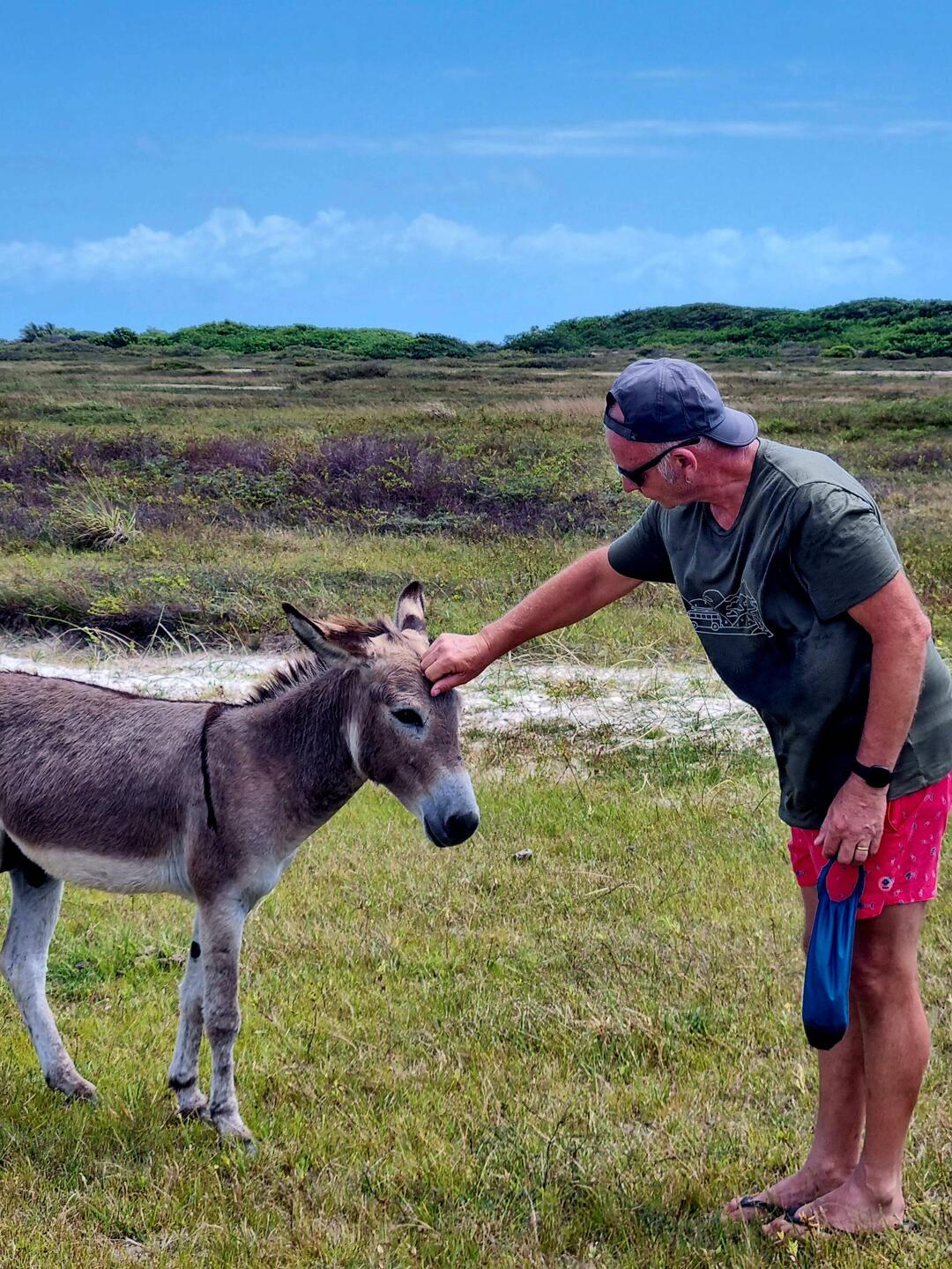 Derek, the donkey whisperer