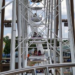 Und sind auch hier nicht alleine