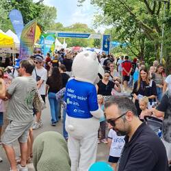 Kultur-, Kinder- und Werbebereich schon gut gefüllt