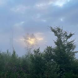 Blick aus dem Schlafsack