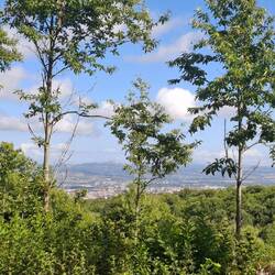 Door de bomen hergebruik ik Viterbo waar ik vertrok