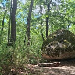 In het bos liggen rotsblokken als enorme bowlingballen.