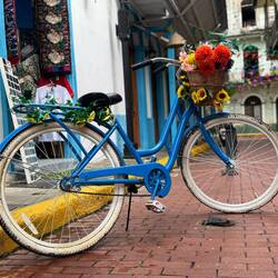 Blumige Fahrräder überall